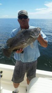 A person fishing for a tripletail fish in FL