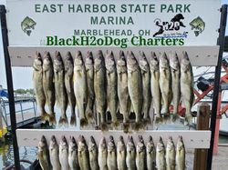 Blackh2oDog Charters Top Guide in Lake Erie