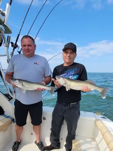 Lake Erie's Top Rated Fishing Guide