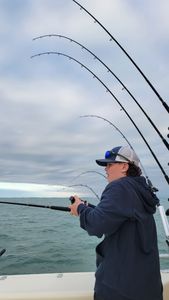 Quality Fishing Trips in Lake Erie