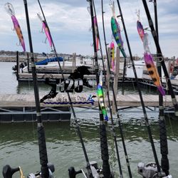 Lake Erie Quality Fishing Trips
