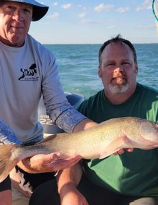 Lake Erie's Top Rated Fishing Guide