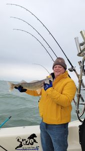  Walleye Fishing Trip in Lake Erie
