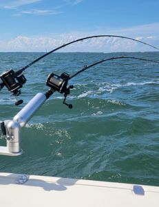 Walleye Season in Lake Erie