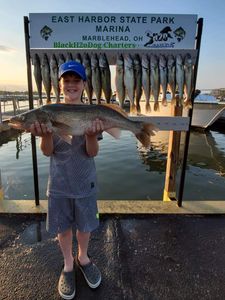 Single angler fishing in OH