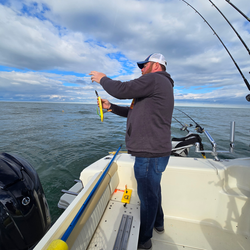 Great day jigging and trolling on the water at Lakeside Marblehead OH with light tackle setup.
