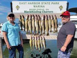 11 bluefish caught in OH
