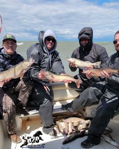 BlackH2oDog Charters: Top fishing adventure!