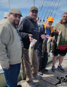 Lakeside Marblehead fishing delight!