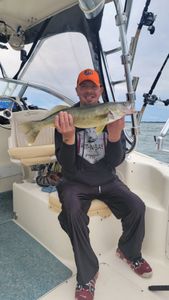 Ohio Fishing for Walleye