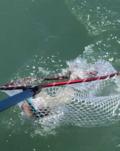 One fishing shot of OH