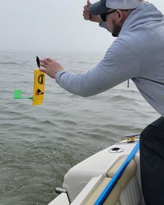 Fishing in Ohio with rods