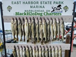 13 fish caught in scenic lakeside marblehead location