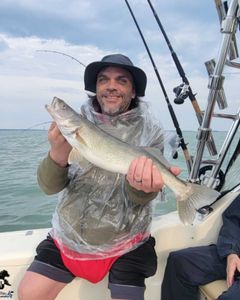 Angler enjoys peaceful lakeside fishing in Marblehead
