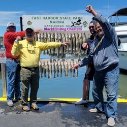 Four people enjoying a lakeside fishing trip in Marblehead