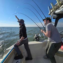 Fishing rods bent under tension on boat deck at Lakeside Marblehead OH