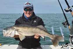 A pike-perch fish caught by an angler at the lakeside in Marblehead