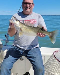 Fisherman catches a large pike-perch at Lakeside Marblehead