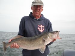 Sauger fish caught in OH