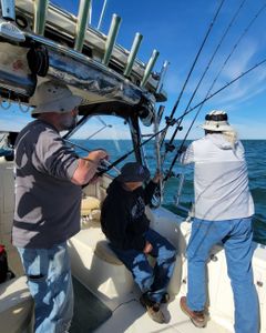 Scenic fishing trip in OH