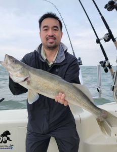 Walleye fish caught in OH
