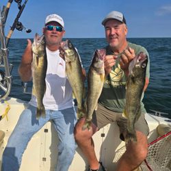 Four walleye caught fishing in OH