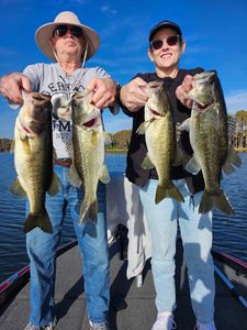 4 large florida bass caught during fishing trip in Winter Garden, FL