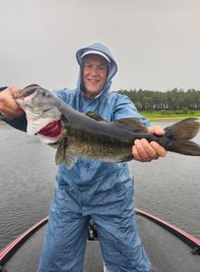 Angler with a 31-inch fish in FL