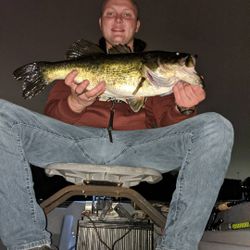 One angler fishing in Winter Garden Fl