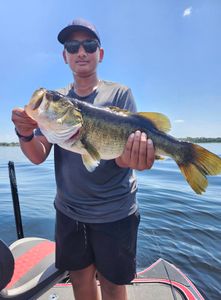 Lone angler fishing in Winter Garden, Florida