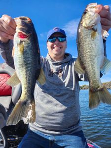 Two big fish caught in Winter Garden, Florida while fishing