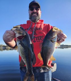 Two bass caught while fishing in Winter Garden, Florida