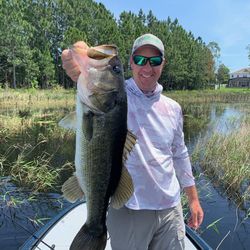 Largemouth Bass, 28-inch fish caught while fishing in FL