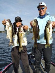 4 big fish caught with fishing technique in Winter Garden Fl