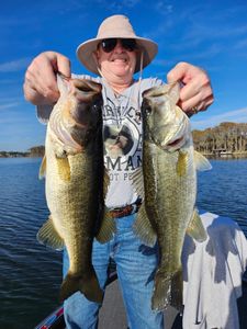 Two Florida bass fish caught in Florida