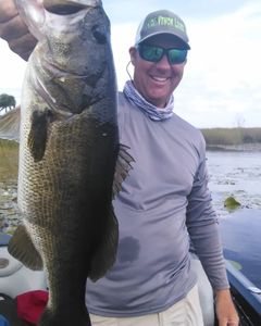 Largemouth bass caught in FL