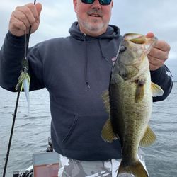 Largemouth Bass measuring 16 inches caught while fishing in FL