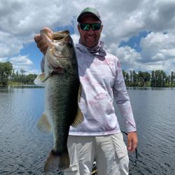 Largemouth bass fishing in FL