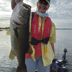 Largemouth bass caught in FL