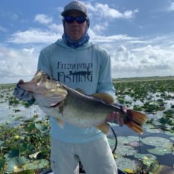 A largemouth bass fish caught in FL