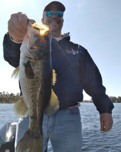 Largemouth bass caught in FL