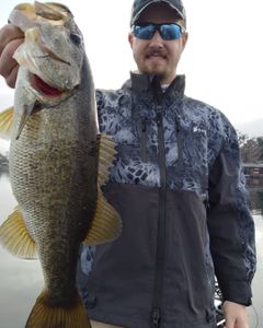 Largemouth Bass caught in FL