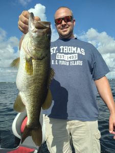 Largemouth Bass caught in FL