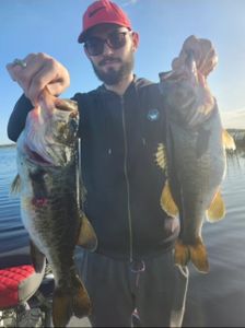 Two largemouth bass caught while fishing in Florida