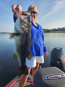 Largemouth bass caught while fishing in FL