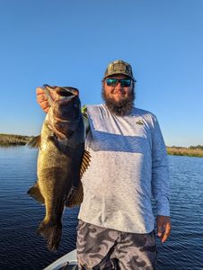 Largemouth bass caught in Winter Garden, FL