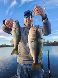 Two largemouth bass caught in Winter Garden, FL