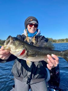 Largemouth Bass caught in Winter Garden FL