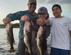 3 largemouth bass caught in Winter Garden FL