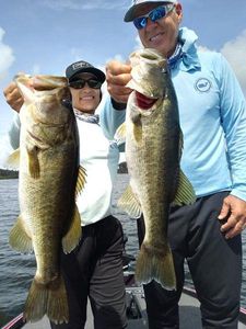 Two largemouth bass caught while fishing in Winter Garden, Florida
